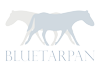 Bluetarpan - studio projektowania wnętrz